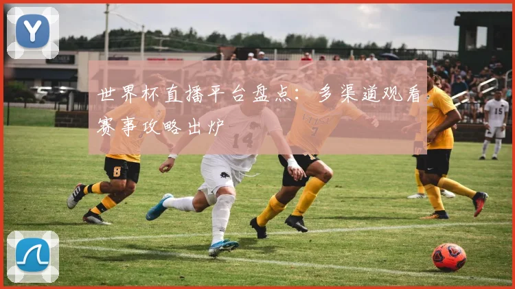 世界杯直播平台盘点:多渠道观看赛事攻略出炉
